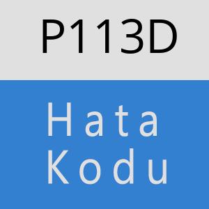 P113D hatasi