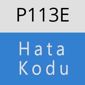 P113E hatasi