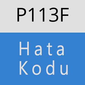 P113F hatasi