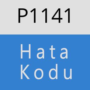 P1141 hatasi