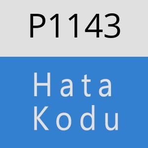 P1143 hatasi
