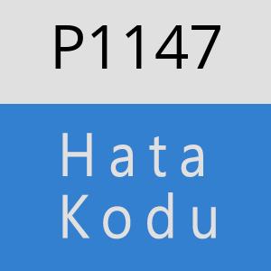 P1147 hatasi