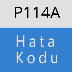 P114A hatasi