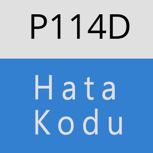 P114D hatasi