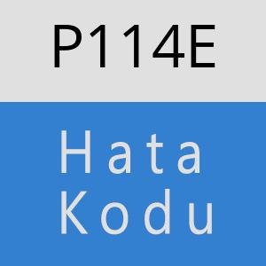 P114E hatasi