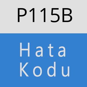 P115B hatasi