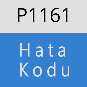 P1161 hatasi