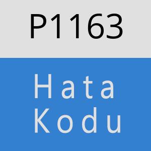 P1163 hatasi