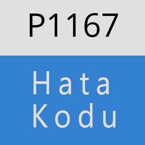 P1167 hatasi