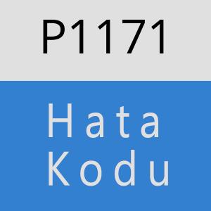 P1171 hatasi