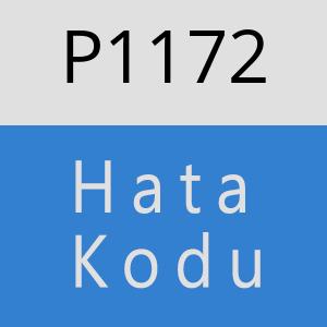 P1172 hatasi