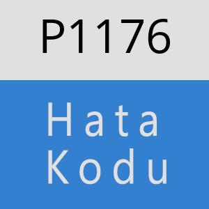 P1176 hatasi