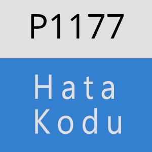 P1177 hatasi