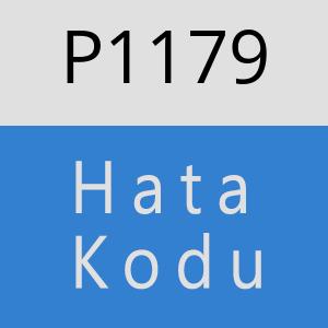 P1179 hatasi