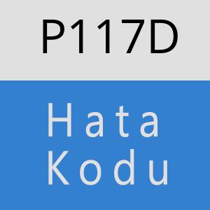 P117D hatasi