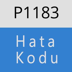 P1183 hatasi