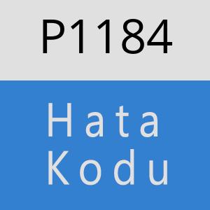 P1184 hatasi