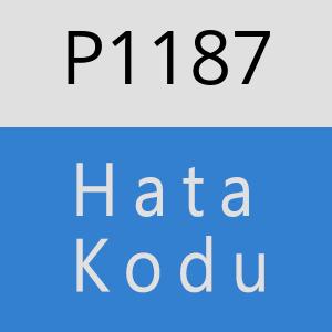 P1187 hatasi