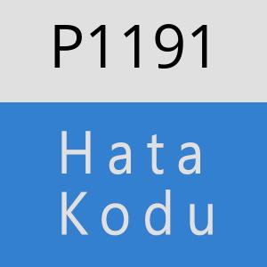 P1191 hatasi