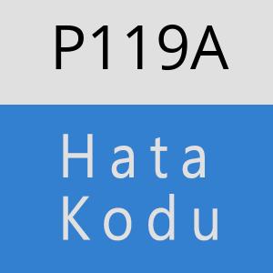 P119A hatasi