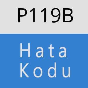 P119B hatasi