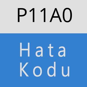 P11A0 hatasi