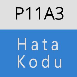 P11A3 hatasi