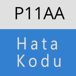 P11AA hatasi