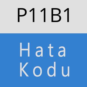 P11B1 hatasi