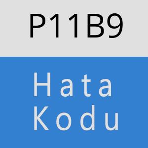 P11B9 hatasi