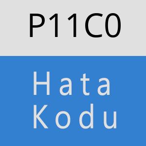 P11C0 hatasi