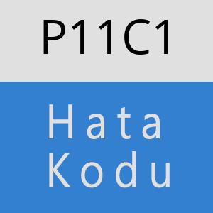 P11C1 hatasi