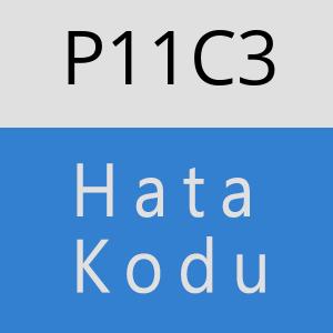 P11C3 hatasi