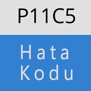 P11C5 hatasi