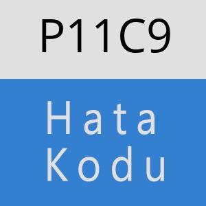 P11C9 hatasi