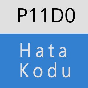 P11D0 hatasi