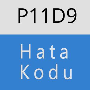 P11D9 hatasi