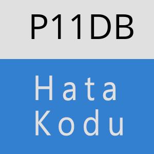 P11DB hatasi