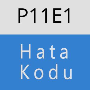 P11E1 hatasi