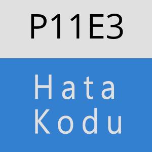 P11E3 hatasi