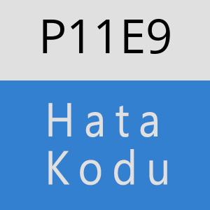 P11E9 hatasi