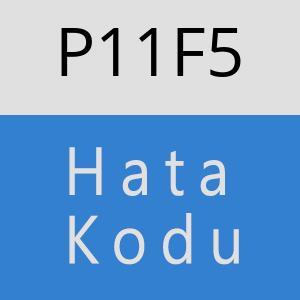 P11F5 hatasi