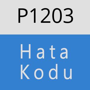 P1203 hatasi