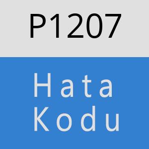 P1207 hatasi