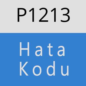 P1213 hatasi