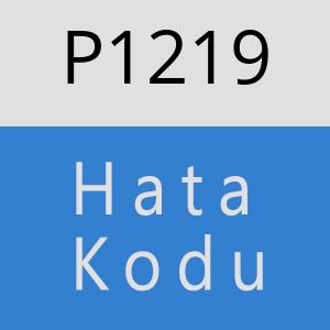 P1219 hatasi