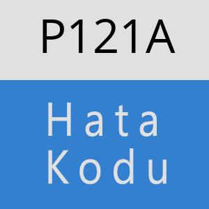 P121A hatasi