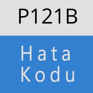 P121B hatasi