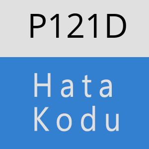 P121D hatasi