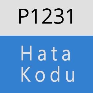 P1231 hatasi